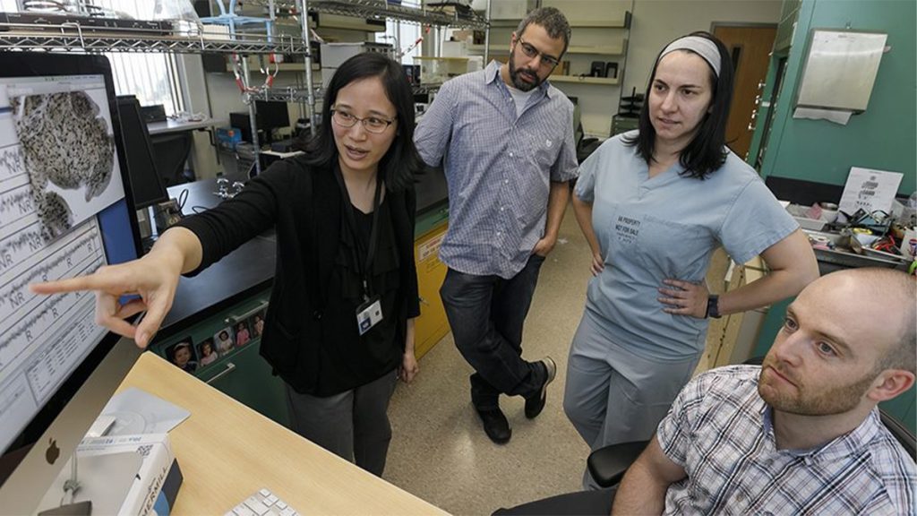 Training Physician-Scientists: Bridging Clinical Insight and Laboratory Discovery