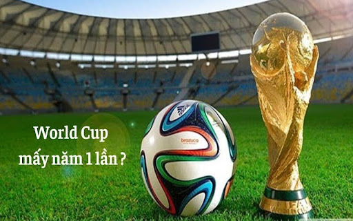 World Mấy Năm 1 Lần? Giải Đáp Chi Tiết World Cup