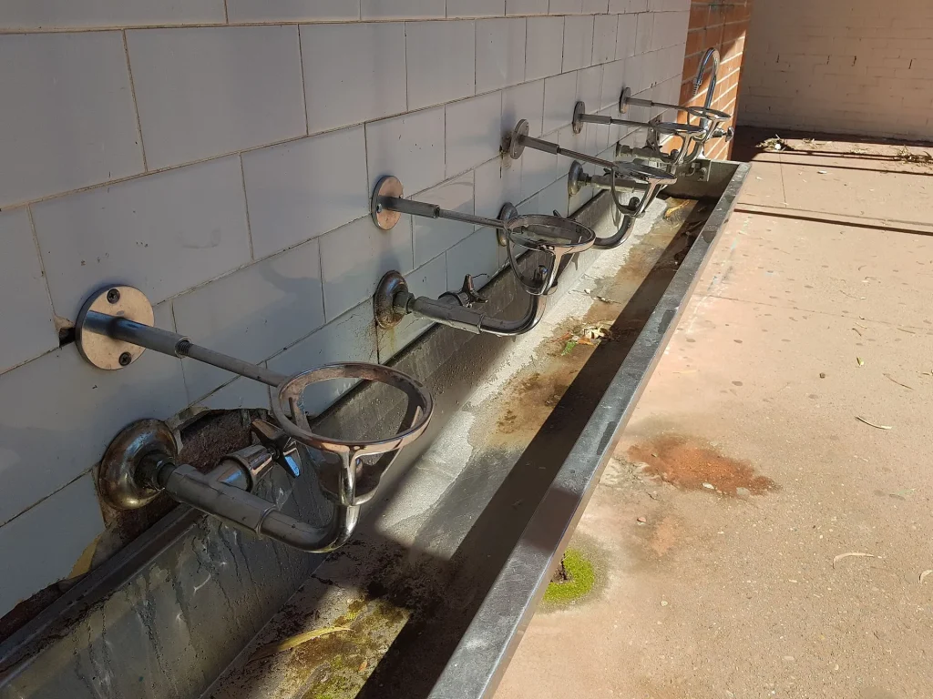 Trust, Not Taste: The Policy Challenge Behind Persistent Bottled Water Use A glass being filled with clean drinking water from a tap